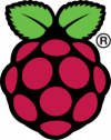 Raspberry Pi Logo