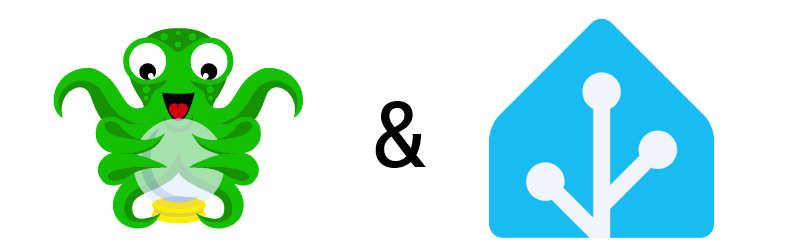 Octoprint und Home Assistant